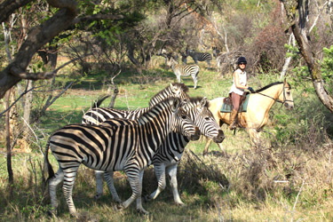 Voyage, circuit, trek, trekking en famille