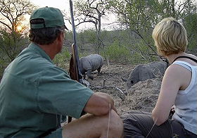 Rhinc&eacute;ros - Safaris &agrave; pied et trek dans le Parc Kruger en Afrique du Sud - Absolu Voyages, le sp&eacute;cialiste du safari et du trekking d'aventure en Afrique Australe