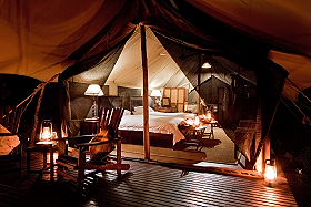 Safaris en camps de toile dans le Parc Kruger - Afrique du Sud - Absolu Voyages