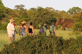 Agence Absolu Voyages - Le spécialiste de l'événementiel et du voyage de groupe, de motivation et incentive en Afrique, en Asie et en Amérique du Sud et Latine - Voyages sur mesure au meilleur tarif pour des séminaires d'une dizaine de personnes jusqu'au congrès de plusieurs centaines de personnes