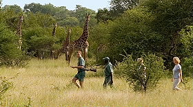 Tourisme et &eacute;cotourisme &eacute;quitable, durable, &eacute;cologique  et responsable - voyages respectant les int&eacute;r&ecirc;ts des communaut&eacute;s locales et l'environnement - programmes d'&eacute;covolontariat - Absolu Voyages