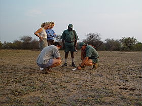 Pistage lors d'un safari &agrave; pied - Safaris &agrave; pied et trek dans le Parc Kruger en Afrique du Sud - Absolu Voyages, le sp&eacute;cialiste du safari et du trekking d'aventure en Afrique Australe