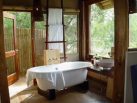 Lodges de luxe dans le Parc Kruger et dans la r&eacute;serve priv&eacute;e de Balule en Afrique du Sud - Absolu Voyages