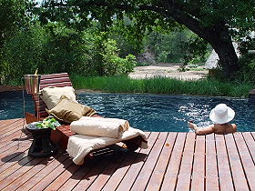 Lodges de luxe dans le Parc Kruger et dans la r&eacute;serve priv&eacute;e de Balule en Afrique du Sud - Absolu Voyages