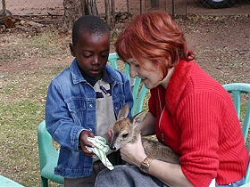 Ecovolontariat en Afrique du Sud - Devenez &eacute;covolontaire dans un orphelinat d'animaux sauvage et une &eacute;cole de brousse pour enfants d&eacute;favoris&eacute;s et orphelins du sida pr&egrave;s du Parc Kruger - Absolu Voyages, &eacute;cotourisme responsable et &eacute;quitable