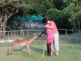 Ecovolontariat en Afrique du Sud - Devenez &eacute;covolontaire dans un orphelinat d'animaux sauvage et une &eacute;cole de brousse pour enfants d&eacute;favoris&eacute;s et orphelins du sida pr&egrave;s du Parc Kruger - Absolu Voyages, &eacute;cotourisme responsable et &eacute;quitable