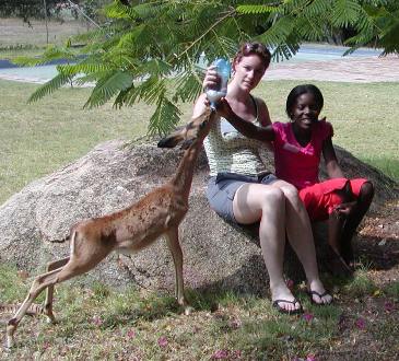 Ecovolontariat en Afrique du Sud - Devenez &eacute;covolontaire dans un orphelinat d'animaux sauvage et une &eacute;cole de brousse pour enfants d&eacute;favoris&eacute;s et orphelins du sida pr&egrave;s du Parc Kruger - Absolu Voyages, &eacute;cotourisme responsable et &eacute;quitable