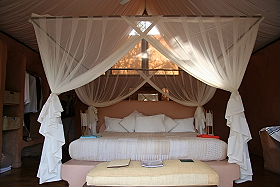 Voyages et safaris en Afrique du Sud - Ecotourisme, autotours &agrave; la carte, lodges de luxe, voyages d'aventure accompagn&eacute;s, safaris &agrave; pied, tourisme &eacute;quitable, durable et responsable, toute l'Afrique du Sud, du Cap au Parc Kruger en passant par le pays Zoulou - Absolu Voyages
