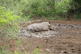 Circuit-aventure de 3 semaines hors des sentiers battus en Afrique du Sud, du Parc Kruger au Cap &agrave; un prix imbattable, avec h&eacute;bergement en auberges et r&eacute;serves priv&eacute;es - Absolu Voyages