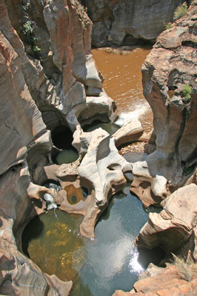 Circuit-aventure de 3 semaines hors des sentiers battus en Afrique du Sud, du Parc Kruger au Cap &agrave; un prix imbattable, avec h&eacute;bergement en auberges et r&eacute;serves priv&eacute;es - Absolu Voyages