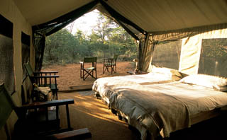 Botswana / Moremi- Okavango / Safari camping en tentes mobiles de luxe dans la r&eacute;serve de Moremi, dans le Delta de l'Okavango - L'intensit&eacute; du safari traditionnel d'Out of Africa - (Afrique Australe) - Absolu Voyages