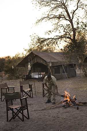 Botswana / Chobe - Safari camping en tentes mobiles de luxe dans la r&eacute;serve de Chobe, c&eacute;l&egrave;bre pour ses troupeaux d'&eacute;l&eacute;phants et de buffles - L'intensit&eacute; du safari traditionnel d'Out of Africa - (Chobe under canvas - 
Afrique Australe) - Absolu Voyages