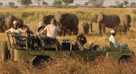 Safaris &agrave; la carte au Botswana - Delta de l'Okavango, Moremi, Chobe, Kwando, Impalila, Linyanti, Kalahari, Nxai Pan, Deception Valley - Lodges et camps exclusifs, safaris en 4x4 (game drives), en mokoro, en bateau, safari de nuit et safari &agrave; pied - Absolu Voyages