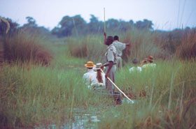 Safaris &agrave; la carte au Botswana - Delta de l'Okavango, Moremi, Chobe, Kwando, Impalila, Linyanti, Kalahari, Nxai Pan, Deception Valley - Lodges et camps exclusifs, safaris en 4x4 (game drives), en mokoro, en bateau, safari de nuit et safari &agrave; pied - Absolu Voyages