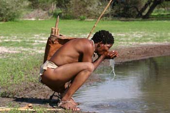 Safaris &agrave; la carte au Botswana - Delta de l'Okavango, Moremi, Chobe, Kwando, Impalila, Linyanti, Kalahari, Nxai Pan, Deception Valley - Lodges et camps exclusifs, safaris en 4x4 (game drives), en mokoro, en bateau, safari de nuit et safari &agrave; pied - Absolu Voyages