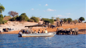Safaris &agrave; la carte au Botswana - Delta de l'Okavango, Moremi, Chobe, Kwando, Impalila, Linyanti, Kalahari, Nxai Pan, Deception Valley - Lodges et camps exclusifs, safaris en 4x4 (game drives), en mokoro, en bateau, safari de nuit et safari &agrave; pied - Absolu Voyages