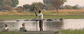 Safaris &agrave; la carte au Botswana - Delta de l'Okavango, Moremi, Chobe, Kwando, Impalila, Linyanti, Kalahari, Nxai Pan, Deception Valley - Lodges et camps exclusifs, safaris en 4x4 (game drives), en mokoro, en bateau, safari de nuit et safari &agrave; pied - Absolu Voyages
