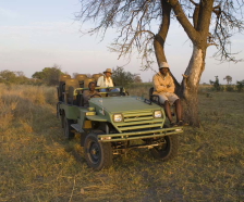 Botswana - Safari au Lagoon Camp dans la réserve privée du Kwando Linyanti au nord du Botswana (Afrique Australe) - Absolu Voyages