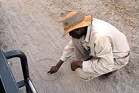 Safaris &agrave; la carte au Botswana - Delta de l'Okavango, Moremi, Chobe, Kwando, Impalila, Linyanti, Kalahari, Nxai Pan, Deception Valley - Lodges et camps exclusifs, safaris en 4x4 (game drives), en mokoro, en bateau, safari de nuit et safari &agrave; pied - Absolu Voyages