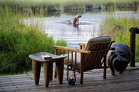 Safaris &agrave; la carte au Botswana - Delta de l'Okavango, Moremi, Chobe, Kwando, Impalila, Linyanti, Kalahari, Nxai Pan, Deception Valley - Lodges et camps exclusifs, safaris en 4x4 (game drives), en mokoro, en bateau, safari de nuit et safari &agrave; pied - Absolu Voyages
