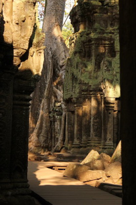 Voyages &agrave; la carte au Cambodge et &agrave; Angkor : tourisme &eacute;quitable, circuit sp&eacute;cial familles, circuit d'&eacute;cotourisme - aventure sportive (VTT, trekking, cano&eacute;...), s&eacute;jour spa "bien &ecirc;tre" avec massages traditionnels cambodgiens &agrave; Angkor... - Absolu Voyages