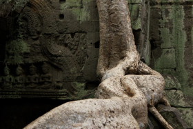 Informations pratiques sur les voyages au Cambodge et &agrave; Angkor - Formalit&eacute;s, vaccins, sant&eacute;, paludisme, &eacute;lectricit&eacute;, prises &eacute;lectriques, pourboires, shopping, marchandage, monnaie, change... - Absolu Voyages