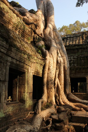 Voyages &agrave; la carte au Cambodge et &agrave; Angkor : tourisme &eacute;quitable, circuit sp&eacute;cial familles, circuit d'&eacute;cotourisme - aventure sportive (VTT, trekking, cano&eacute;...), s&eacute;jour spa "bien &ecirc;tre" avec massages traditionnels cambodgiens &agrave; Angkor... - Absolu Voyages