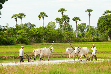 Voyage, circuit, trek, trekking en famille