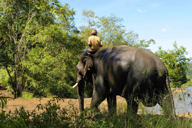 Voyage, circuit, trek, trekking en famille