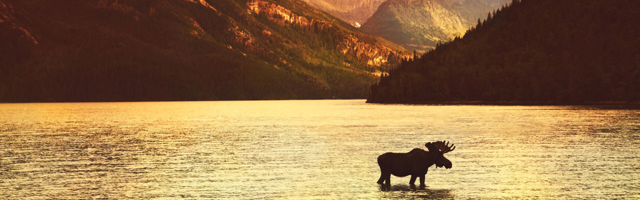 VOyages, circuits, autotours, séjours ranch au Canada avec Absolu Voyages