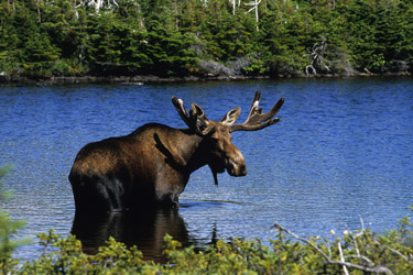 Vacances Québec Nature et Randonnée - Absolu Voyages