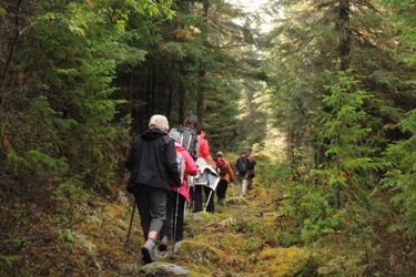 Vacances Québec Nature et Randonnée - Absolu Voyages