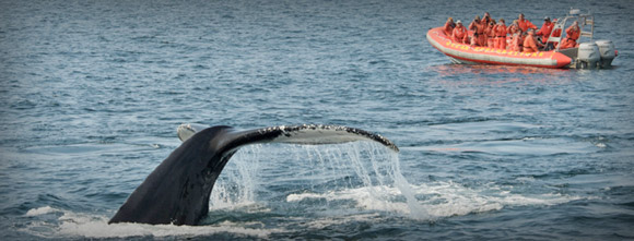 Vacances Québec Nature et Randonnée - Absolu Voyages