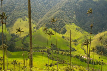 Voyage en Colombie à la découverte du Nouvel Eldorado de l'Amérique Latine - ABSOLU VOYAGES