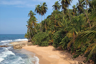 Voyage en Colombie à la découverte du Nouvel Eldorado de l'Amérique Latine - ABSOLU VOYAGES