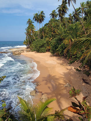 Découverte culturelle et sportive de la Colombie - le renouveau de l'El Dorado avec Absolu Voyages