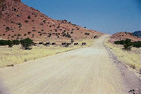 Exp&eacute;dition en Afrique - Aventure Sauvage en Afrique Australe - Afrique du Sud, Namibie, Botswana, Chutes Victoria, Zimbabwe, safari en cano&eacute; sur l'Orange River et ascension des dunes de Sossusvlei - Safaris dans les r&eacute;serves d'Etosha, Chobe, Delta de l'Okavango, Hwange - voyage safari d'aventure en camping sous tente et en camion 4x4 - Absolu Voyages