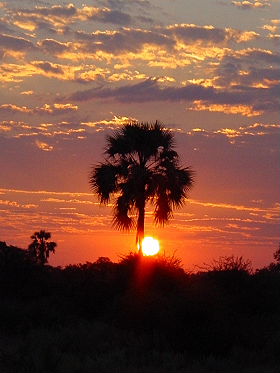 Exp&eacute;dition en Afrique - Tour de l'Afrique Australe - Afrique du Sud, Botswana, Chutes Victoria, Zambie, safari en cano&eacute; sur le Zamb&egrave;ze, Malawi, Mozambique, Parc Kruger - voyage safari d'aventure en camping sous tente et en camion 4x4 - Absolu Voyages