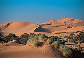 Exp&eacute;dition en Afrique - Aventure Sauvage en Afrique Australe - Afrique du Sud, Namibie, Botswana, Chutes Victoria, Zimbabwe, safari en cano&eacute; sur l'Orange River et ascension des dunes de Sossusvlei - Safaris dans les r&eacute;serves d'Etosha, Chobe, Delta de l'Okavango, Hwange - voyage safari d'aventure en camping sous tente et en camion 4x4 - Absolu Voyages