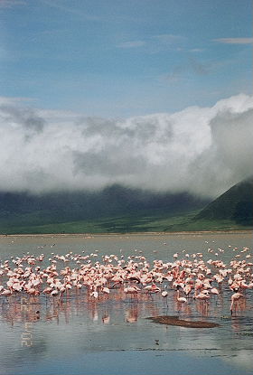 Informations pratiques sur les safaris au Kenya - Carte des principales r&eacute;serves, &eacute;lectricit&eacute;, prises &eacute;lectriques, vaccins, visa, formalit&eacute;s, d&eacute;calage horaire - Absolu Voyages