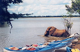 Exp&eacute;dition transafricaine, voyage - safari d'aventure de Johannesbourg &agrave; Nairobi, &agrave; travers l'Afrique du Sud, le Zimbabwe (ou le Botswana), les Chutes Victoria, la Zambie, safari en cano&eacute; sur le Zamb&egrave;ze, le Malawi, la Tanzanie, Zanzibar et le Kenya - Absolu Voyages