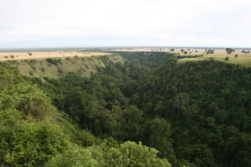 Voyage d'aventure safari en Ouganda - Aux sources du Nil et safaris &agrave; la recherche des derniers gorilles des montagnes et des chimpanz&eacute;s - Absolu Voyages