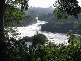 Voyage d'aventure safari en Ouganda - Aux sources du Nil et safaris &agrave; la recherche des derniers gorilles des montagnes et des chimpanz&eacute;s - Absolu Voyages
