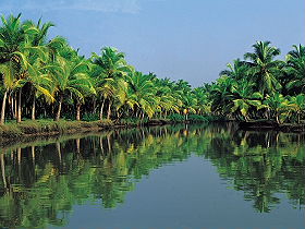 Voyage individuel privatif en voiture avec chauffeur privatis&eacute; en Inde - Croisi&egrave;re dans les backwaters du Kerala et temples du Tamil Nadu, de Madras &agrave; Bangalore en pasant par Cochin, Pondichery, Madurai, Mysore... - Absolu Voyages