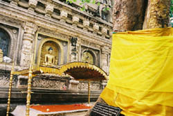 Voyage individuel privatif en voiture avec chauffeur en Inde - P&eacute;lerinage aux Sources du Bouddhisme, sur les lieux historiques de la vie de Bouddha - Absolu Voyages