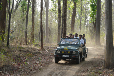 Safari nord inde à la recherche des tigres et découverte des Temples - Absolu Voyages