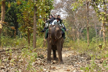 Safari nord inde à la recherche des tigres et découverte des Temples - Absolu Voyages