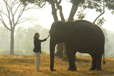 Voyage, circuit, trek, trekking en famille