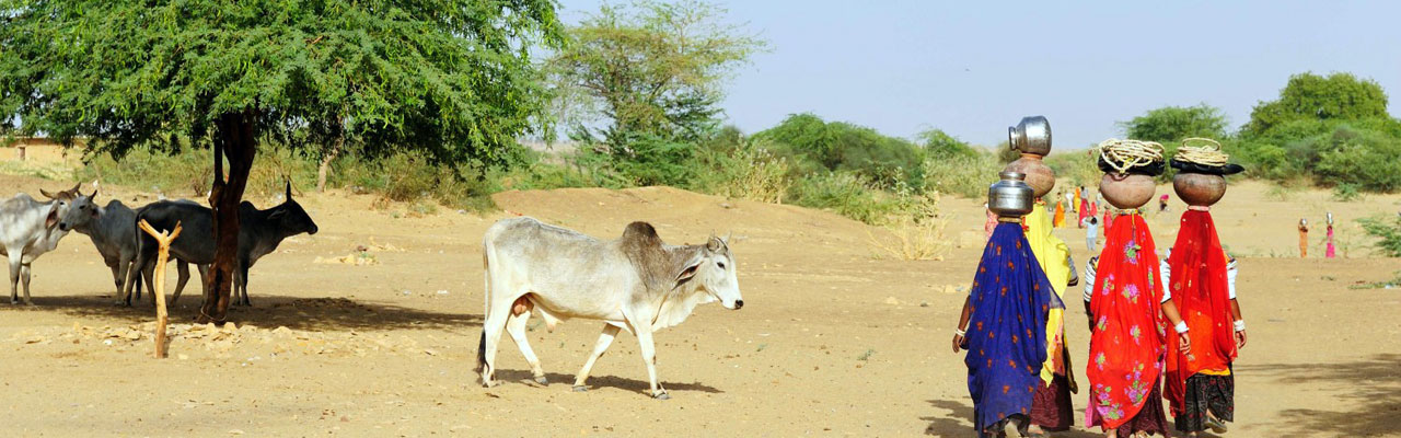 Voyage à cheval - Randonnée équestre organisée par Randocheval