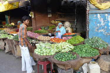 Voyage découverte Inde Rajasthan désert du thar et taj Mahal - Absolu Voyages